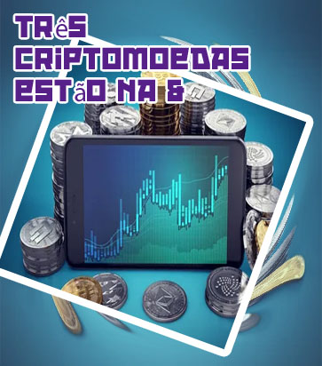 Cripto moeda reef