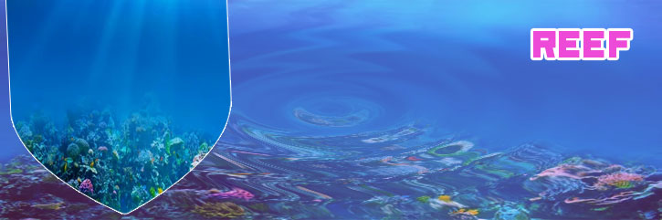 Reef criptomoeda o que é