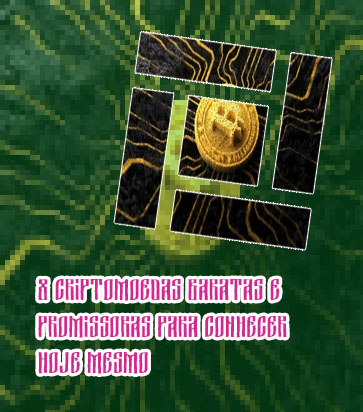 Top 20 criptomoedas